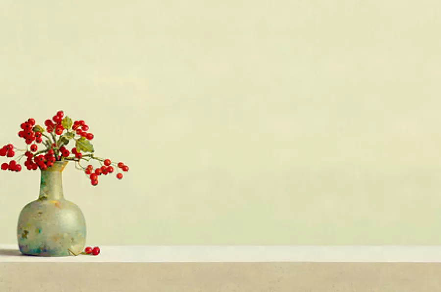 Art Revisited Placemat Meidoornbessen | Tafelhulpjes