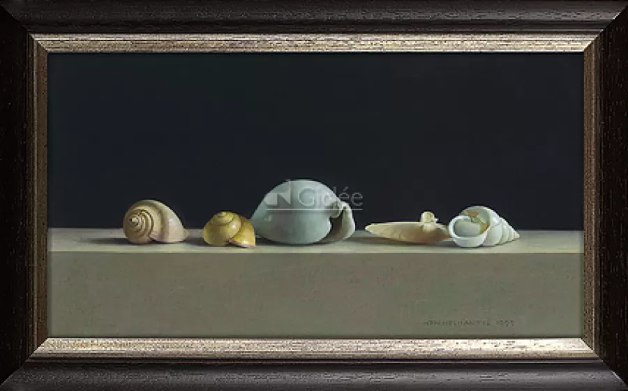 Art Revisited Schelpen stilleven | Giclées
